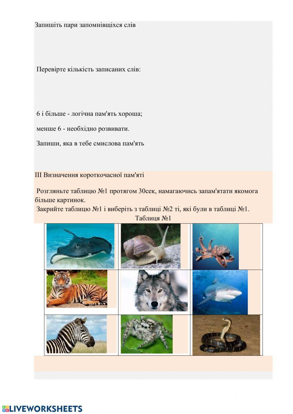 Лабораторна робота «Дослідження різних видів пам'яті»