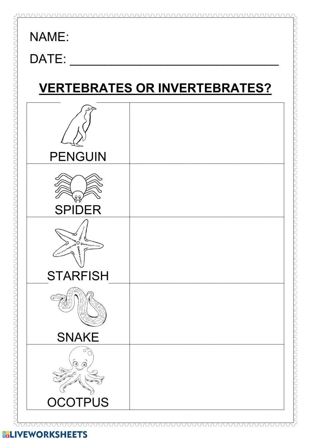 Vertebrates-invertebrates