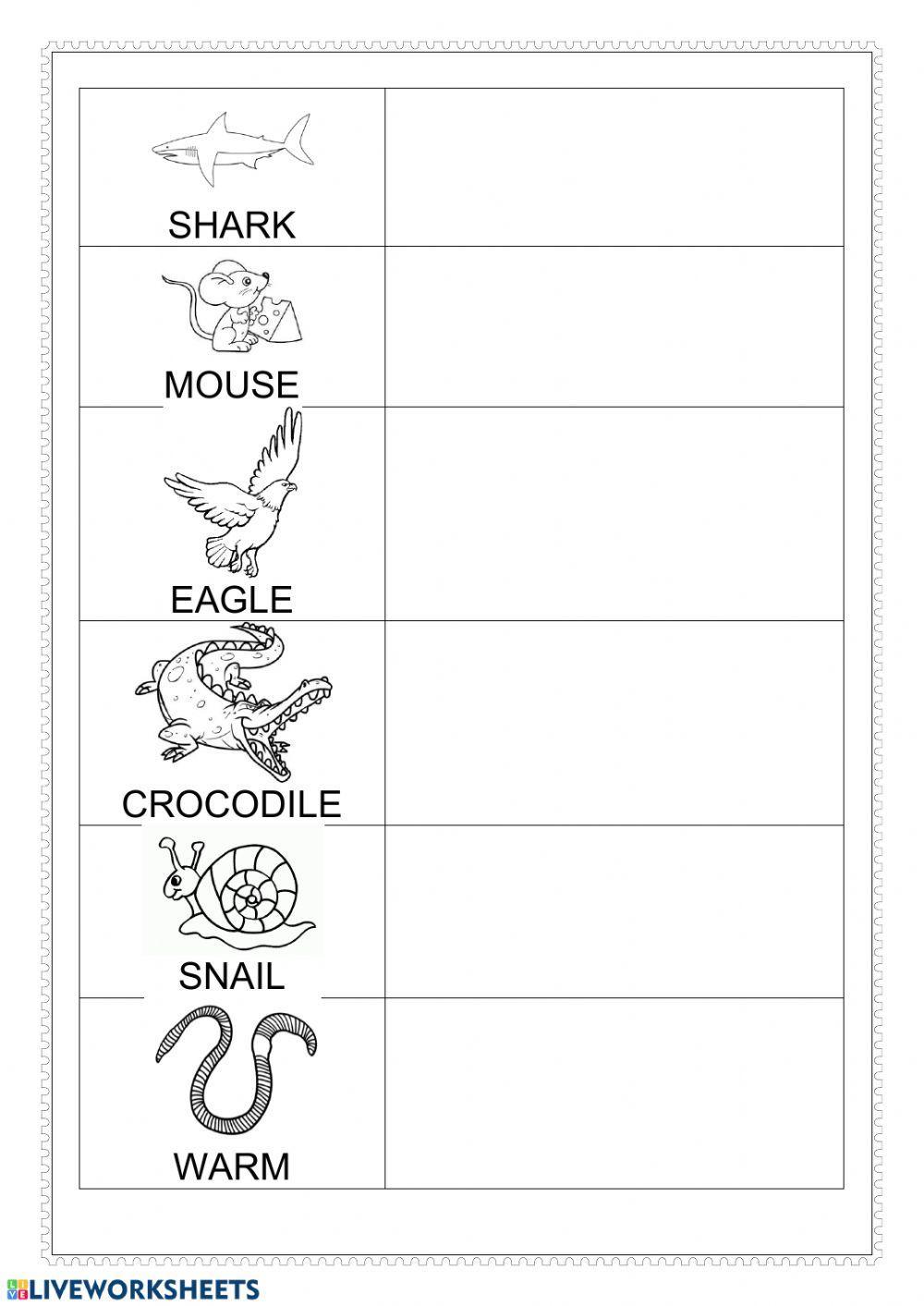 Vertebrates-invertebrates