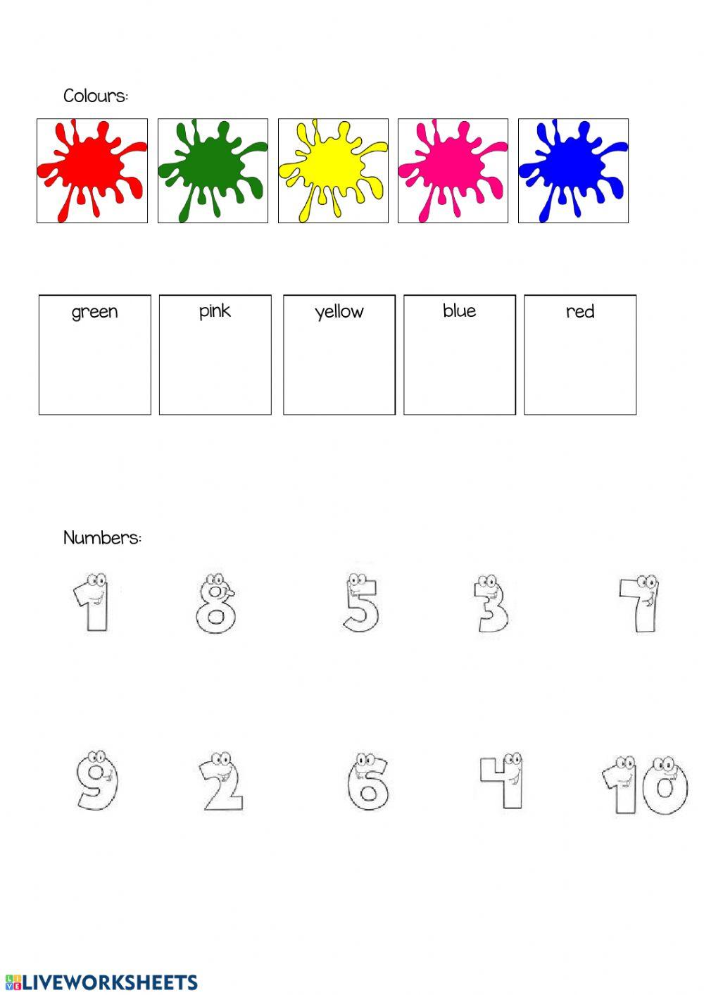 Vocabulary & Colours &Numbers