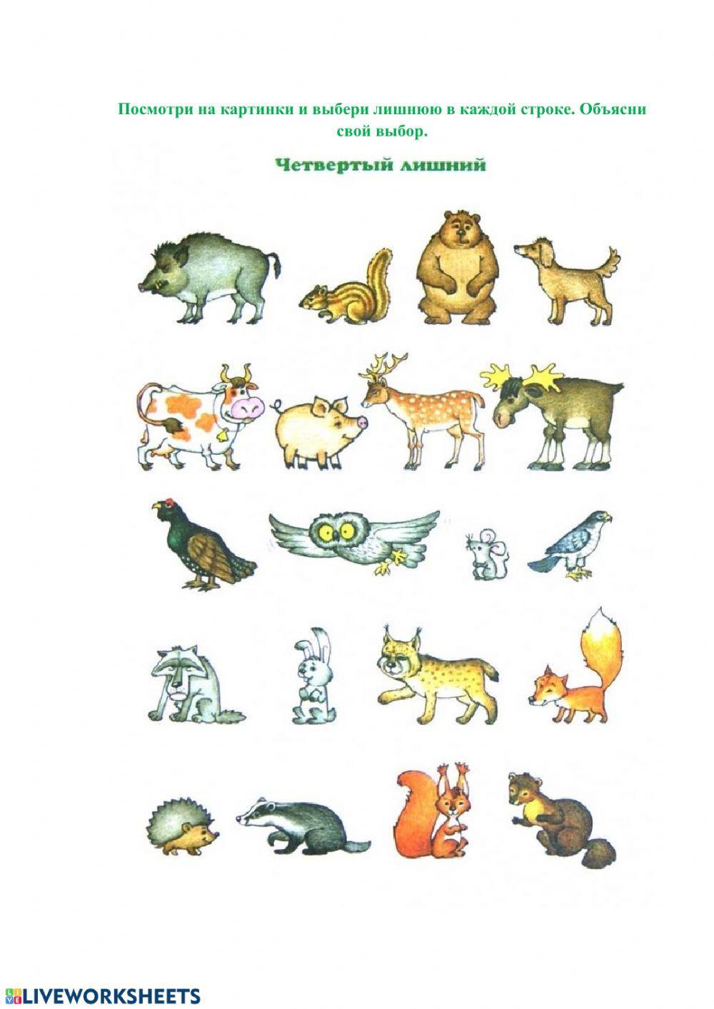 Четвертый лишний