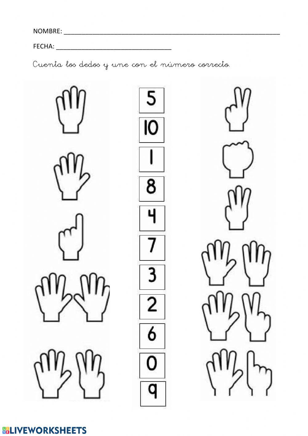 Une os dedos con el número correcto worksheet | Live Worksheets
