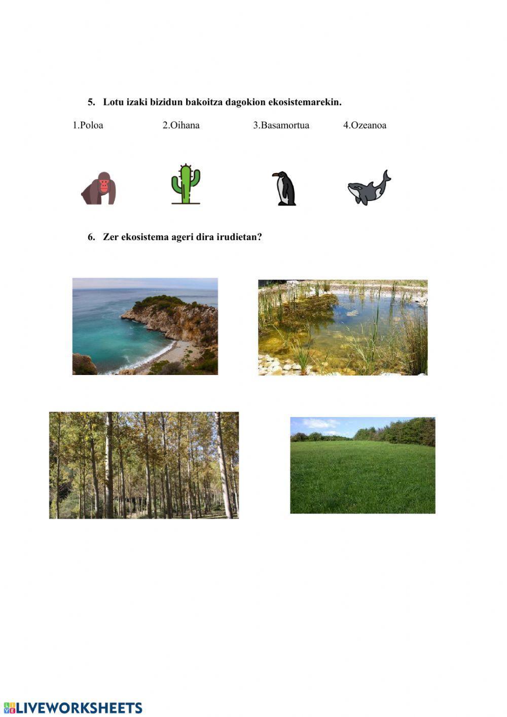 Ekosistema, -adi, galderak?-