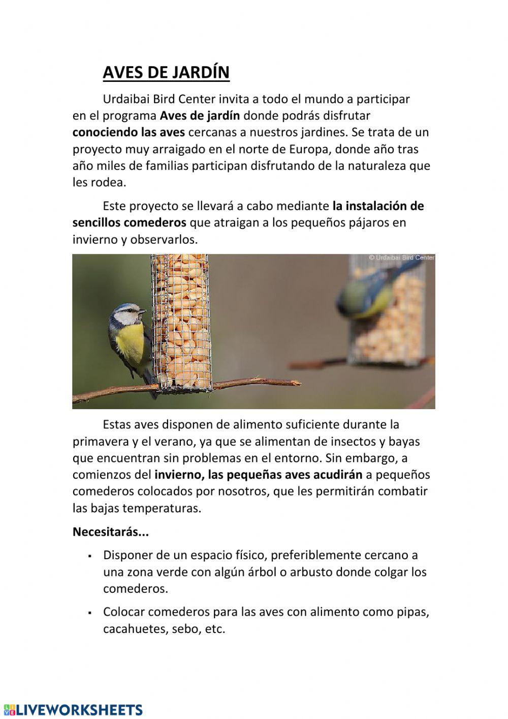 Comprensión: Aves de jardín
