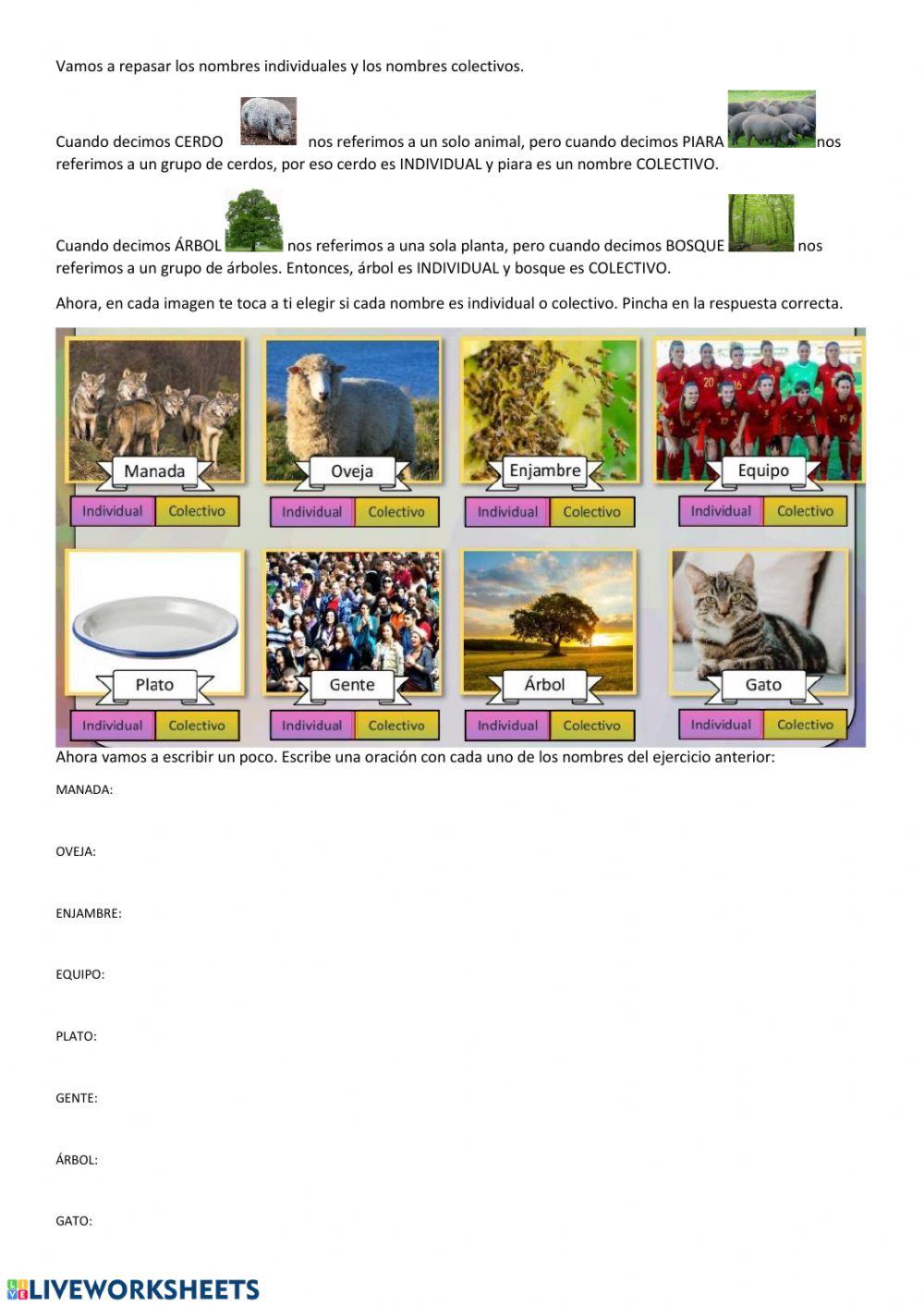 Individuales y Colectivos