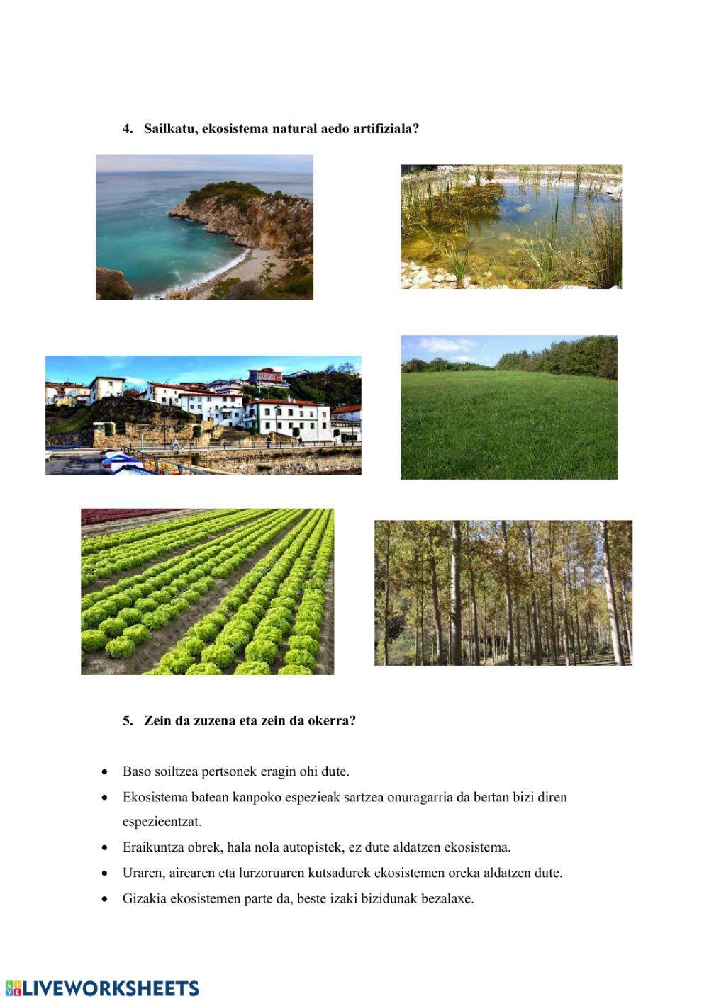 Natura - Ekosistema azterketa