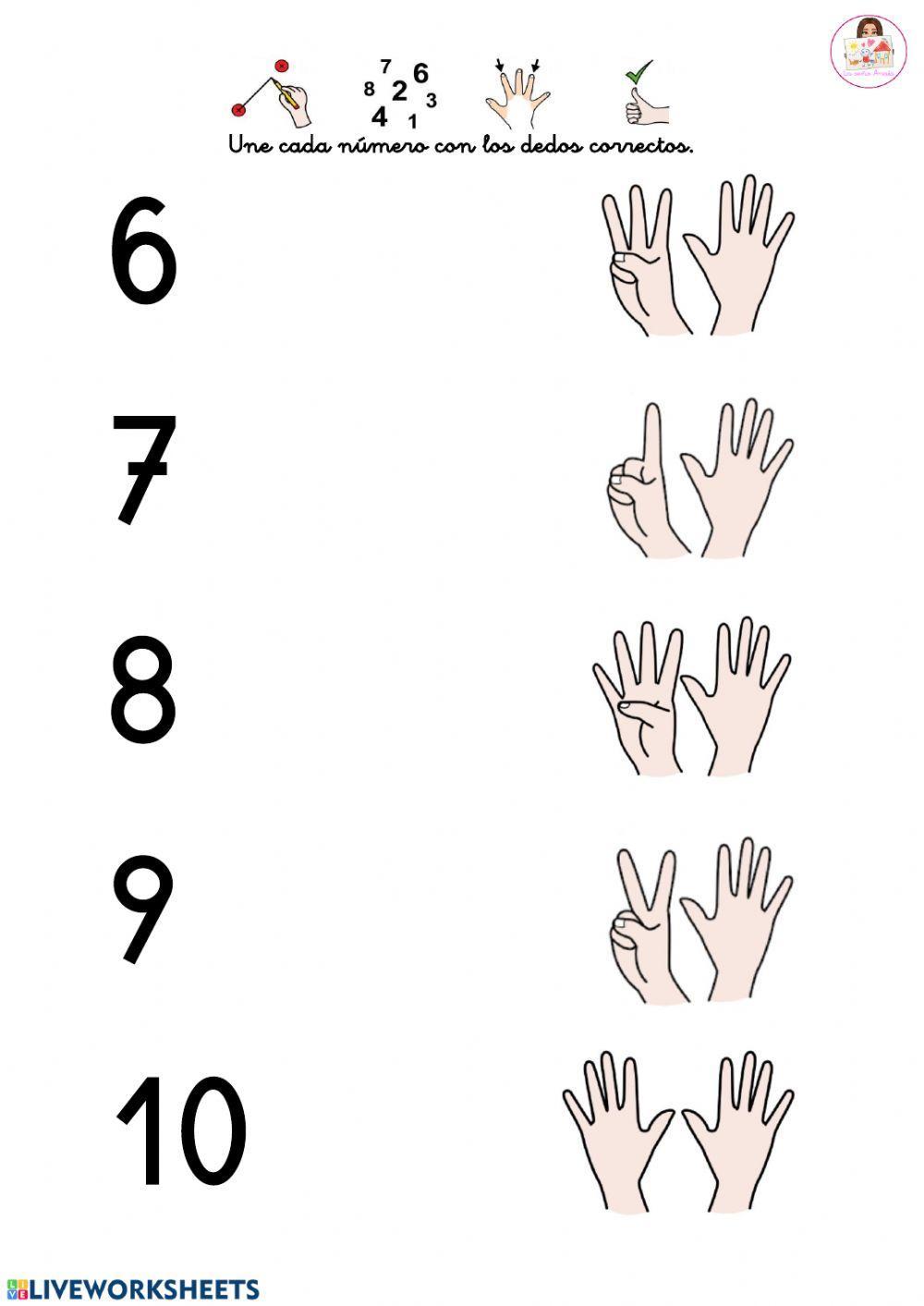 Números y dedos