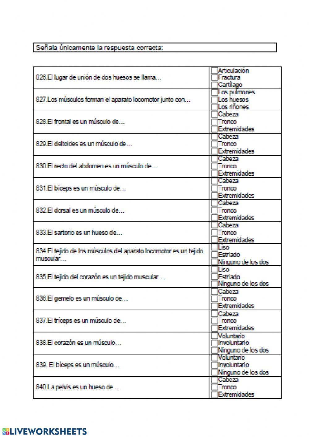 Huesos, músculos y órganos