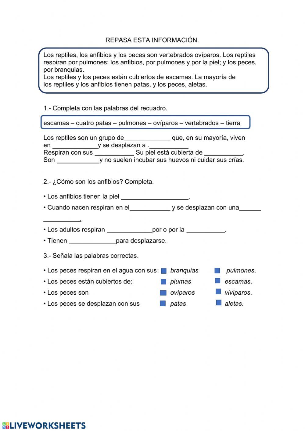 Reptiles, anfibios y peces