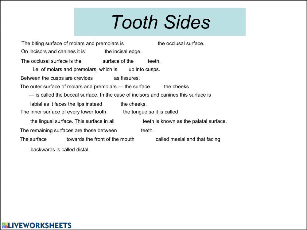 Tooth surfaces