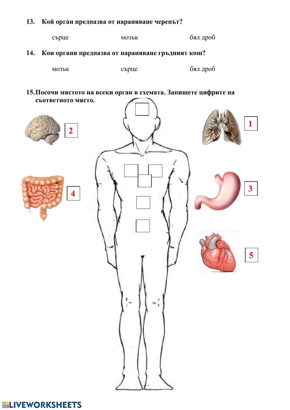 Човекът и природата