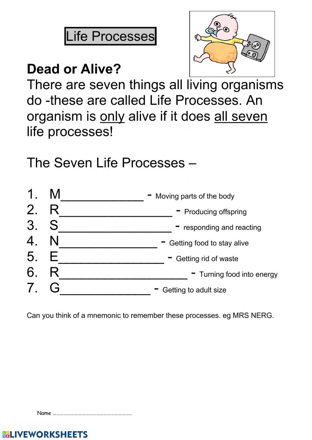 LIFE PROCESSES IN PLANT