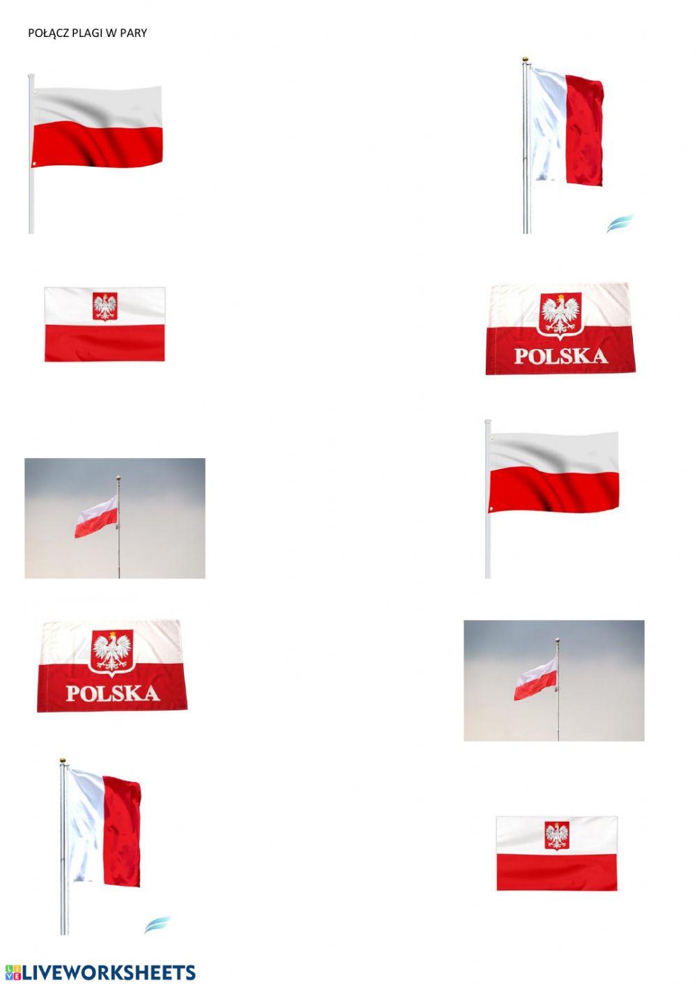 Połącz takie same flagi