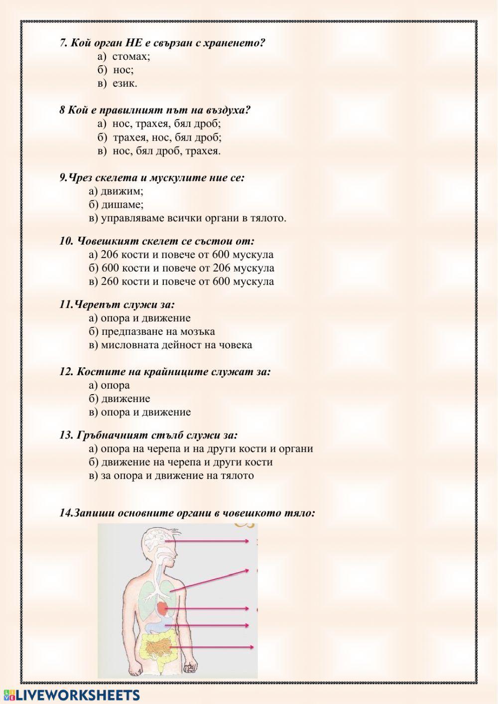 Човешко тяло