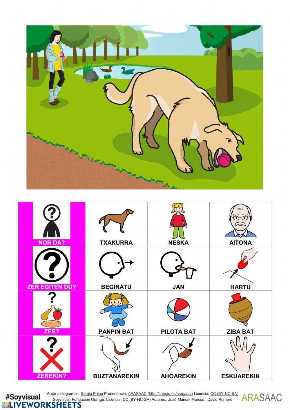 Galdera eta erantzun posibleak. HARTU aditza