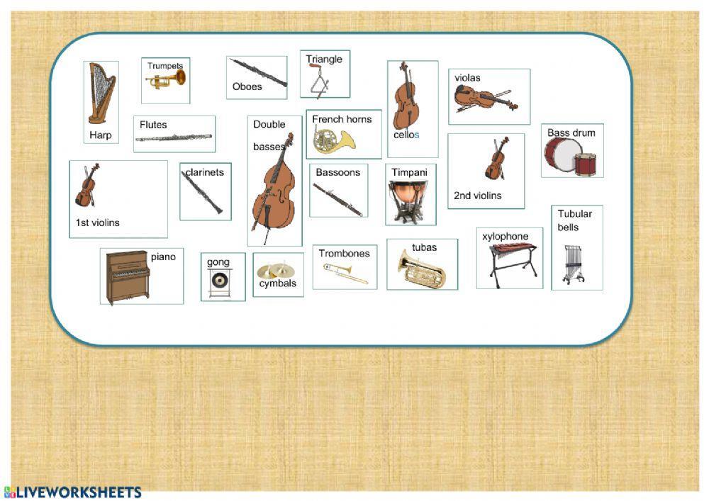 The instruments of the orchestra