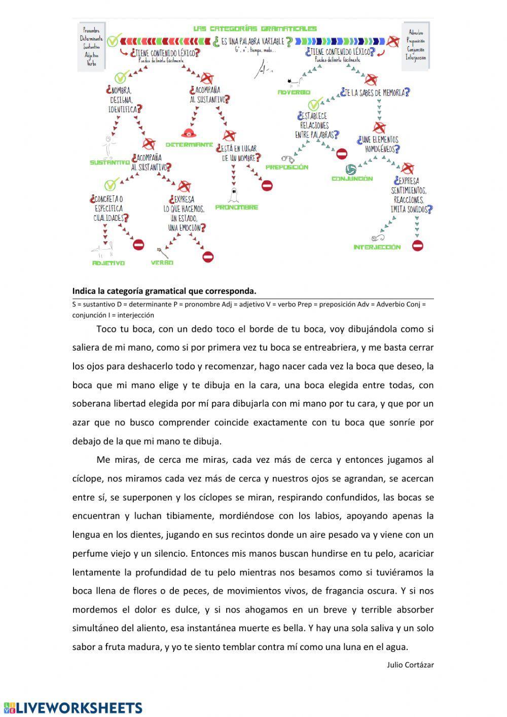Categorías gramaticales