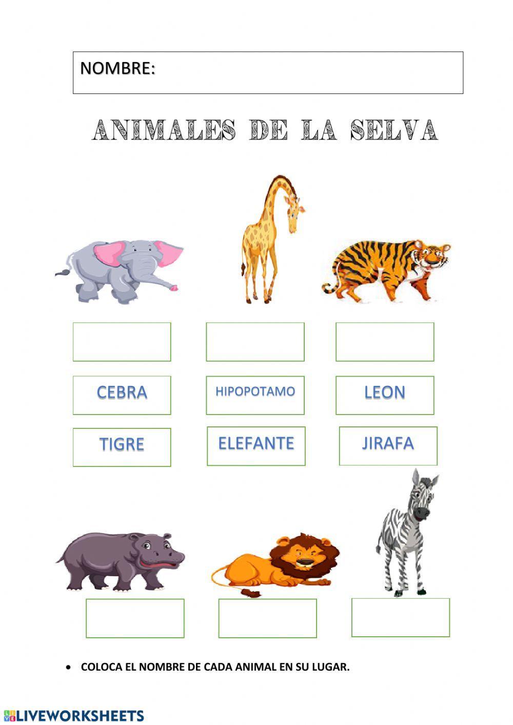 Animales de la selva