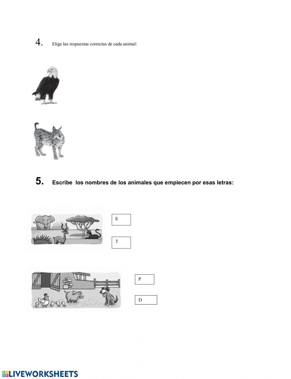 Science - prueba escrita - unidad 5 - 1º primaria