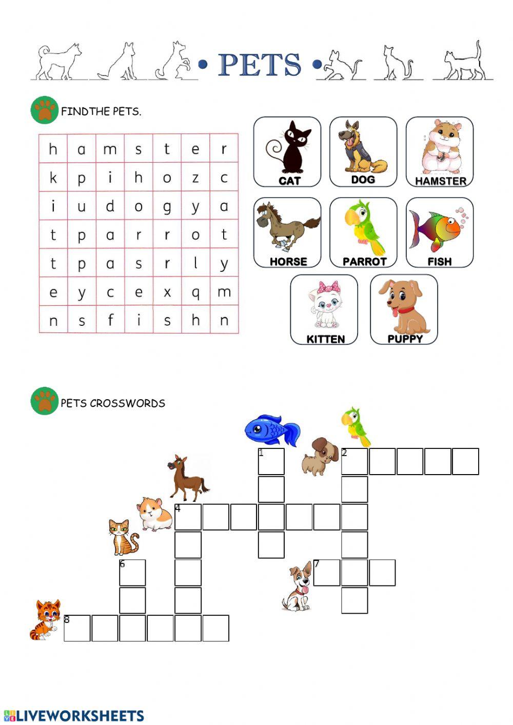 Pets 2º lesson 3