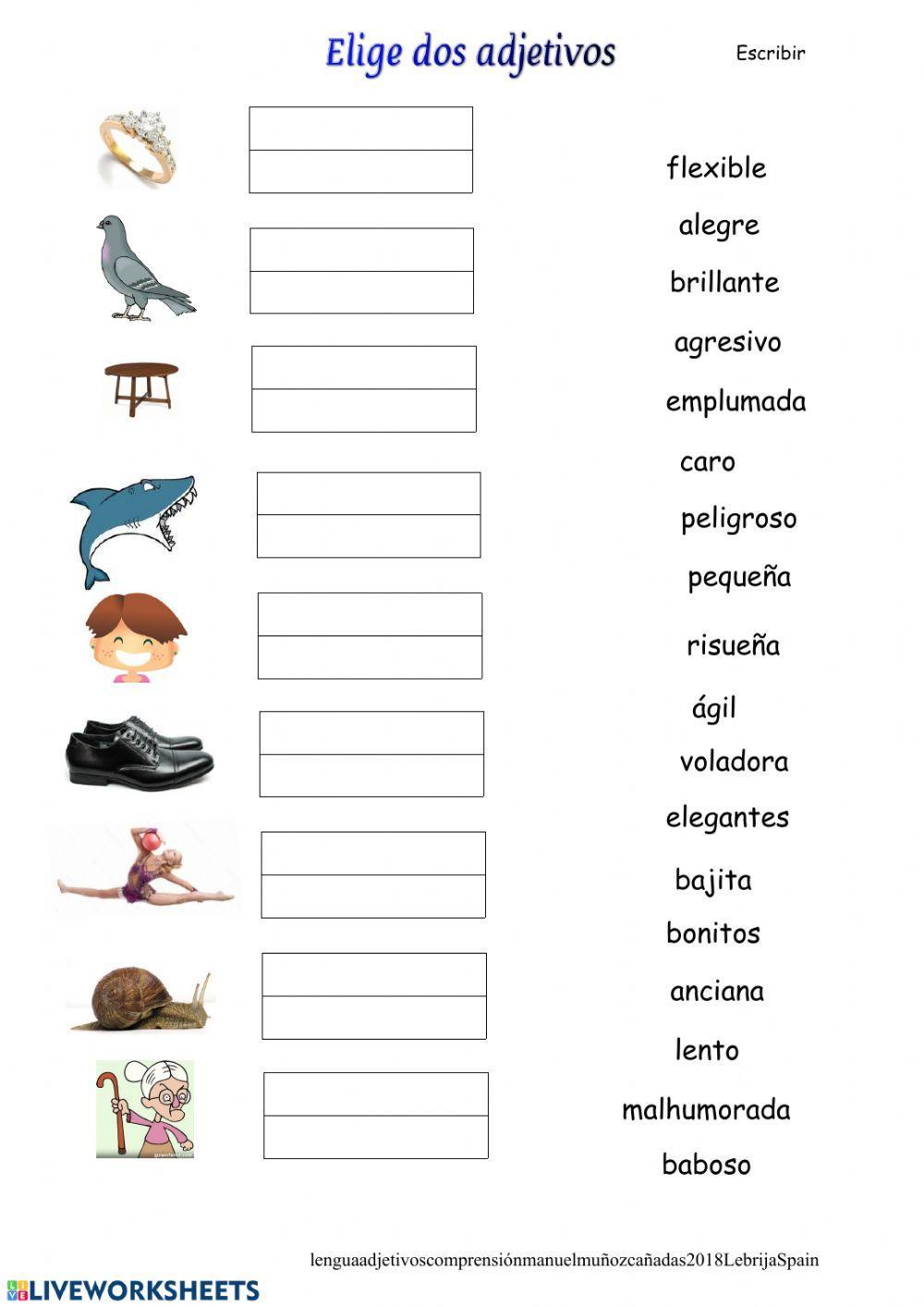 Escribe dos adjetivos