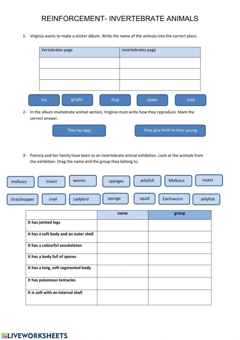 Invertebrate animals