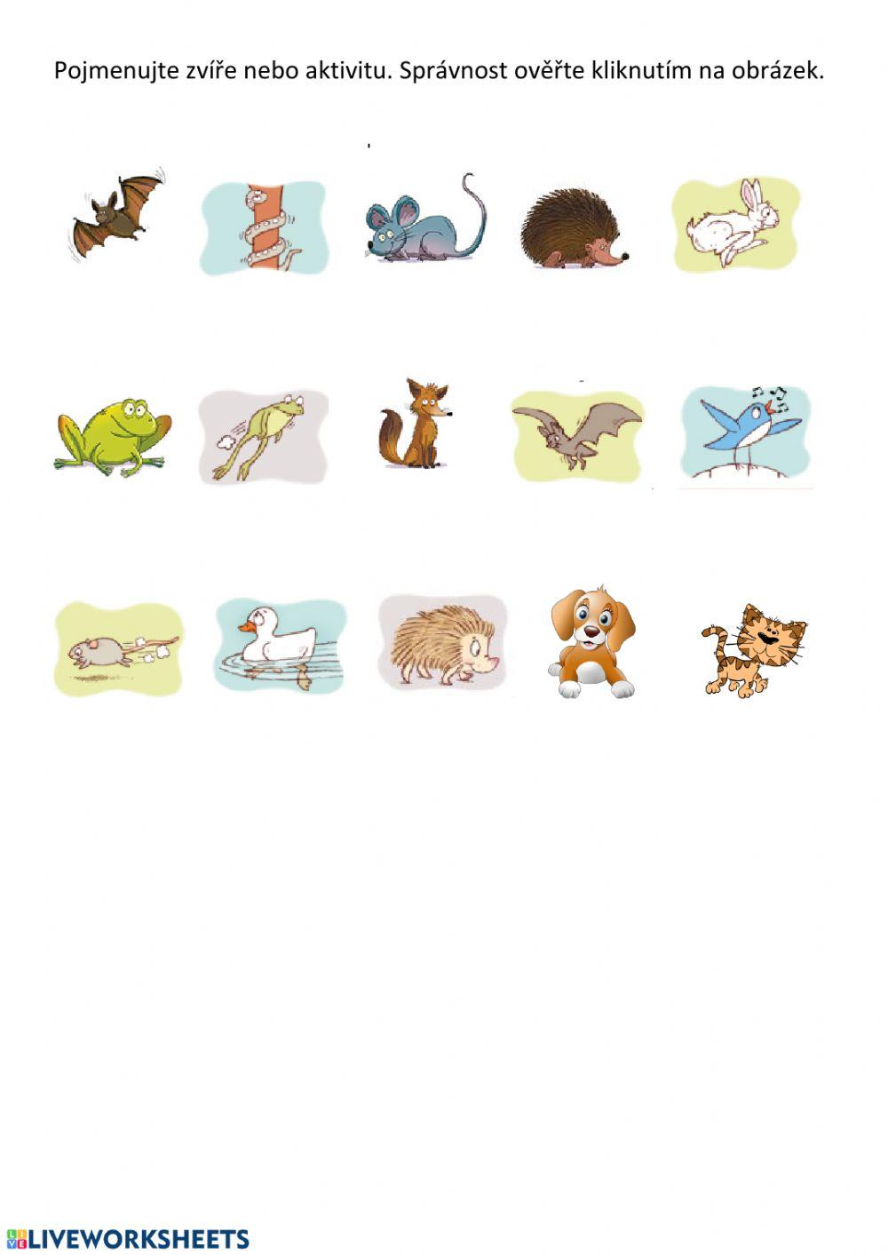 Animals and verbs