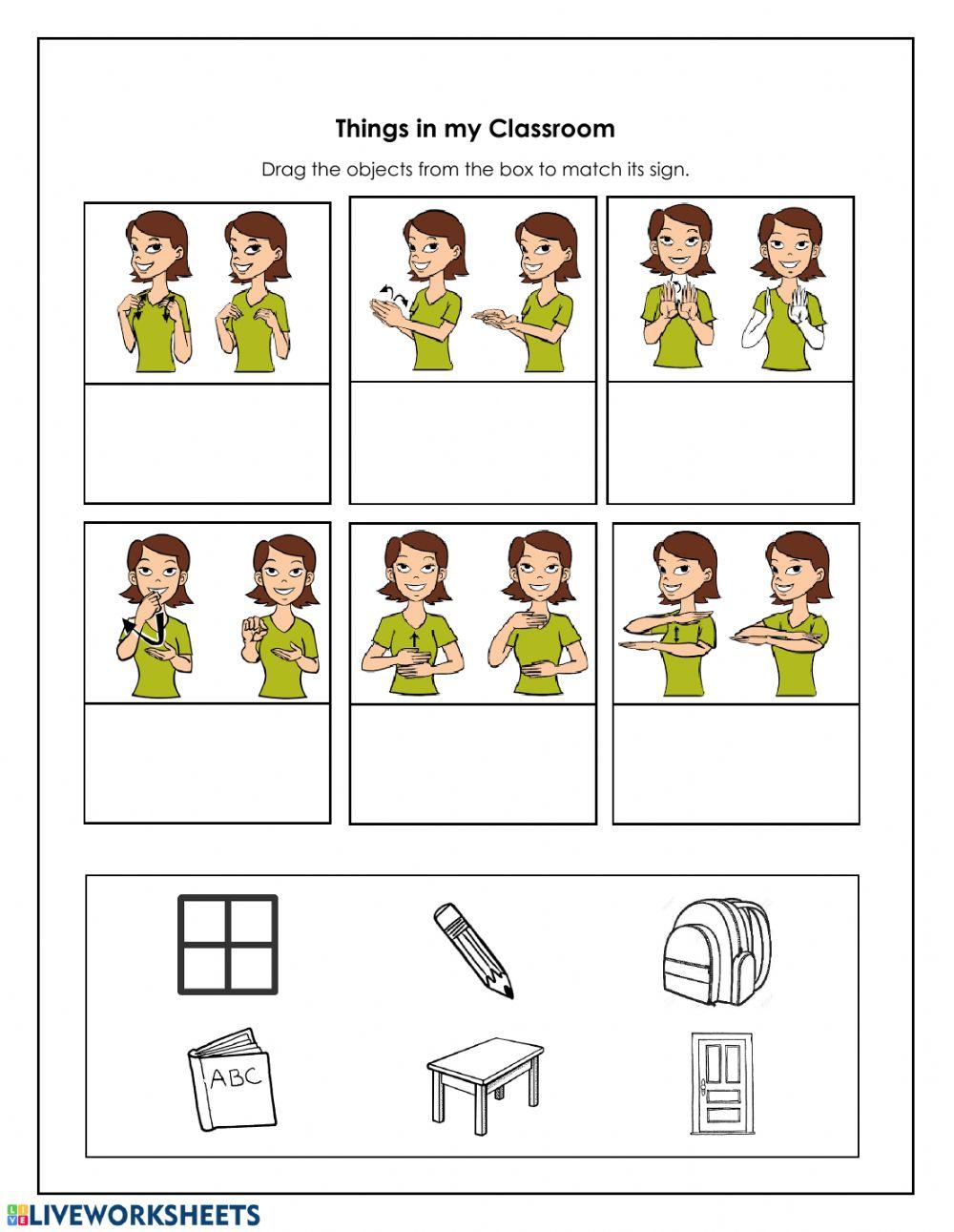 Things in My Classroom