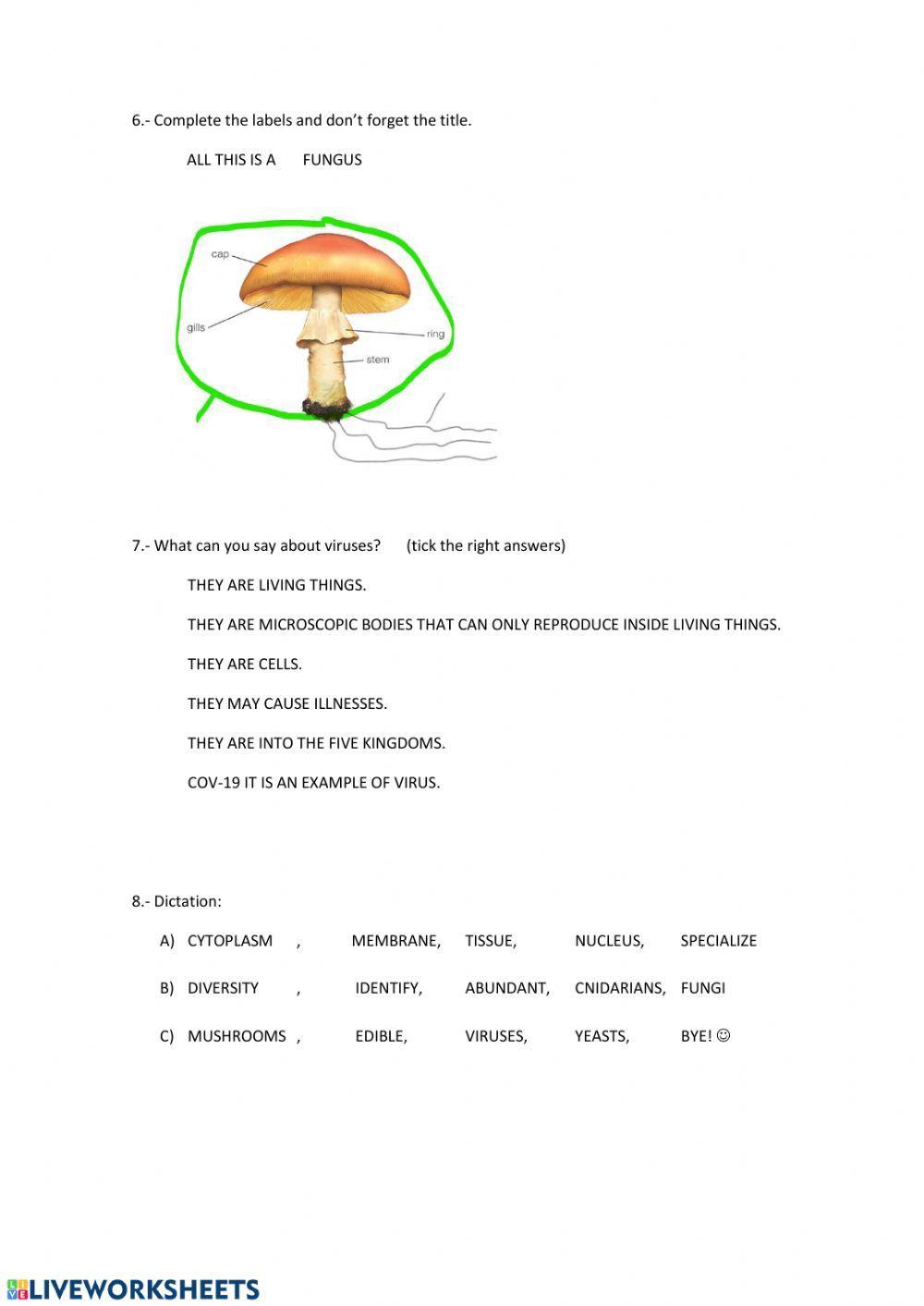 NS123 PART2. LIVING THINGS. 5 PRIMARY. MADRID. RICHMOND SANTILLANA