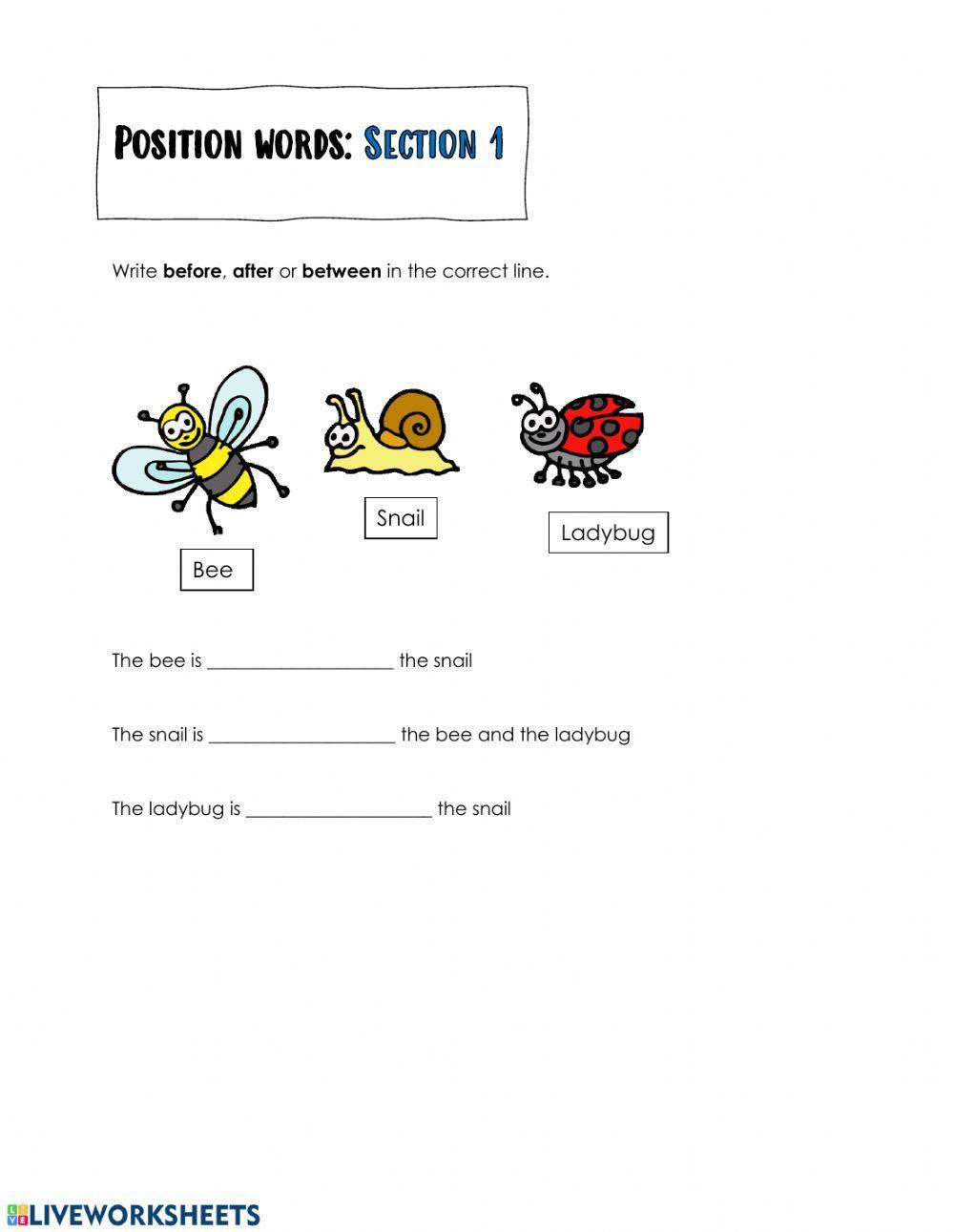 Position words worksheet Live Worksheets