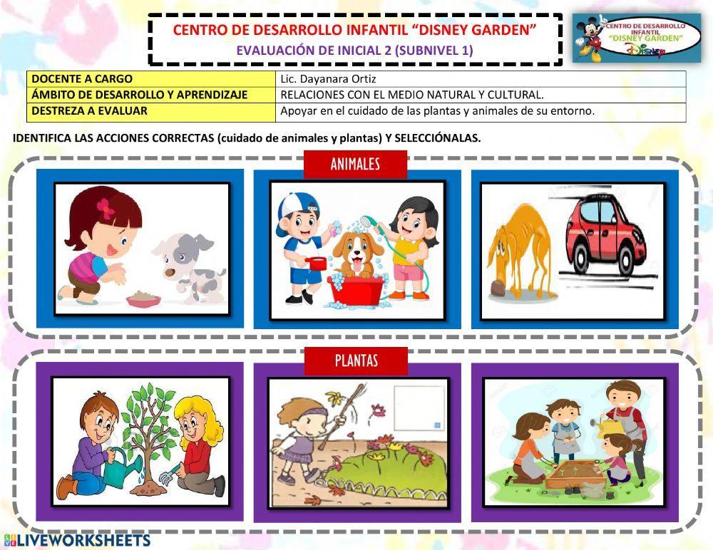 Acciones correctas para el cuidado de las plantas y animales.