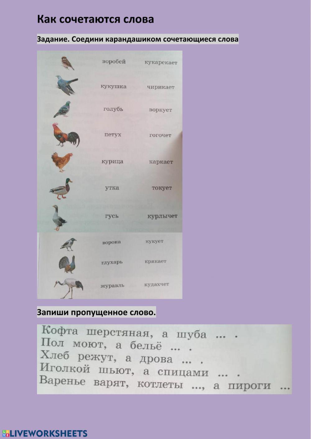 Русский родной язык worksheet | Live Worksheets