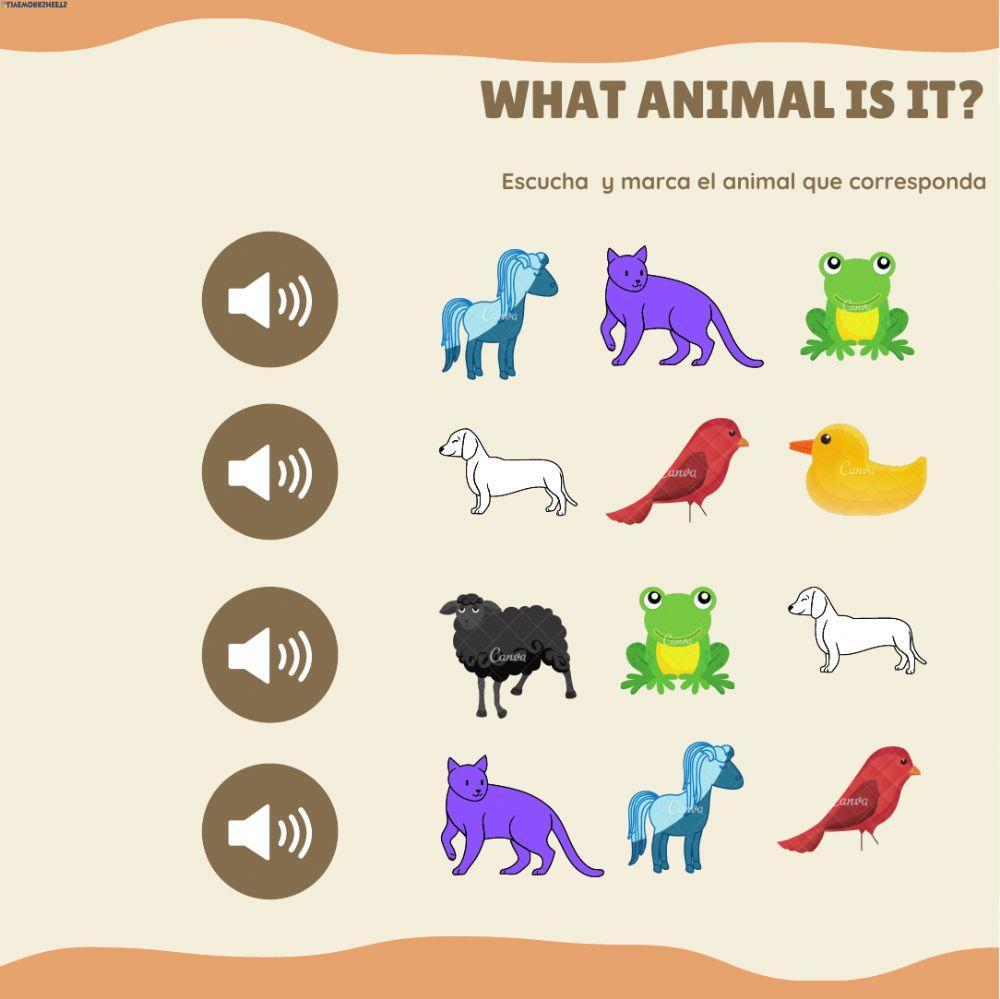 Brown bear brown bear