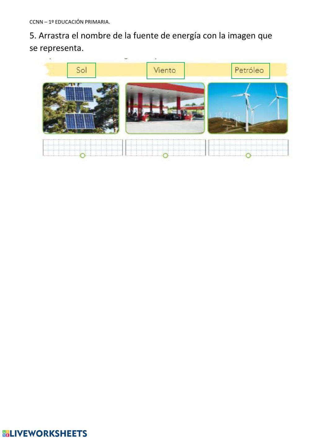 Actividades Repaso CCNN- Und. 5 -1º EP