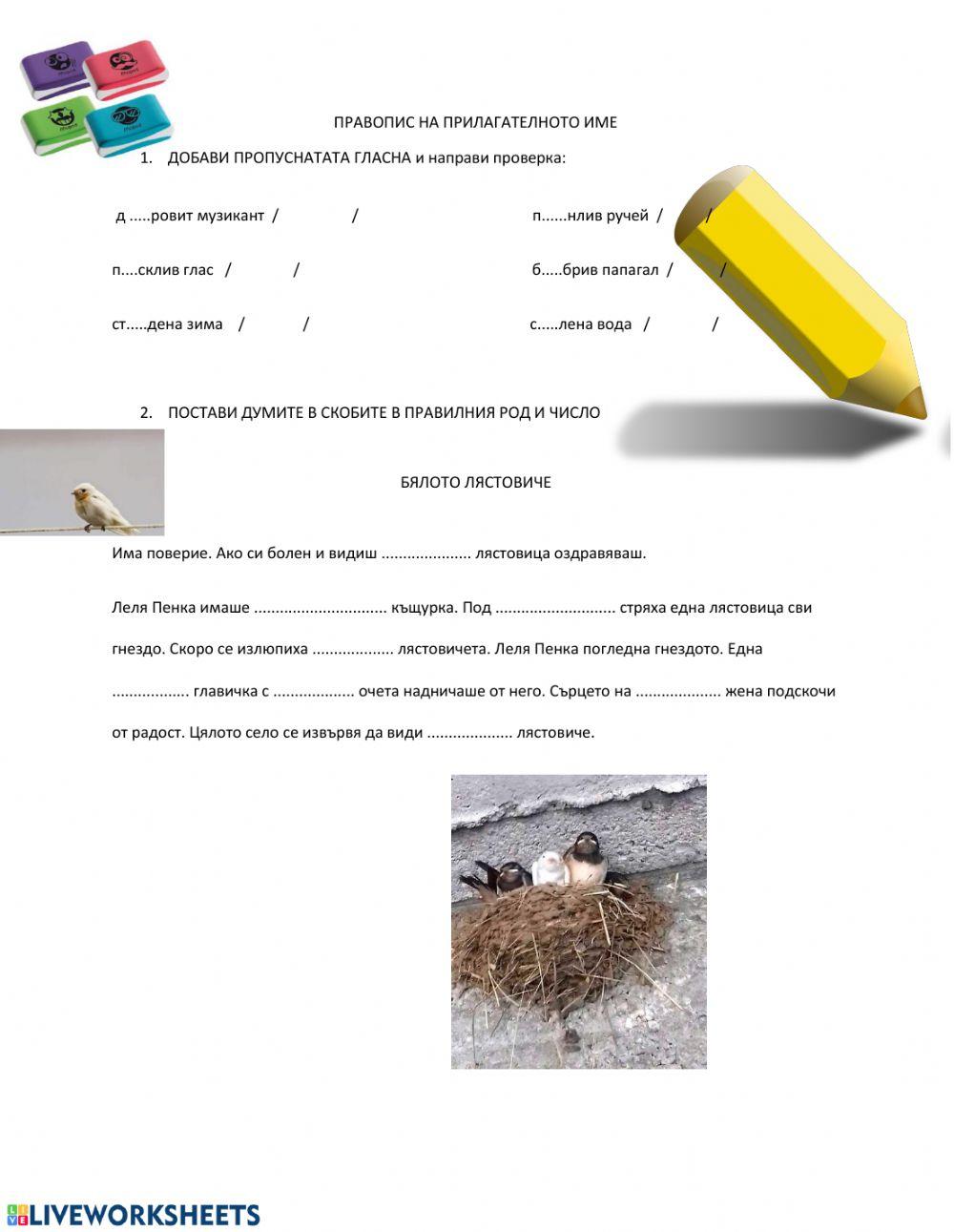 Правопис на прилагателното име