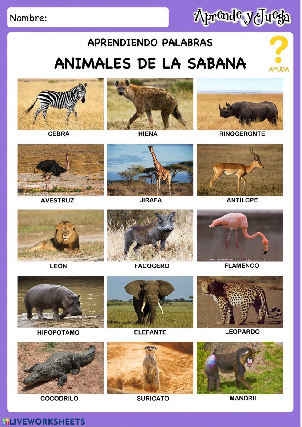 Vocabulario Animales Sabana