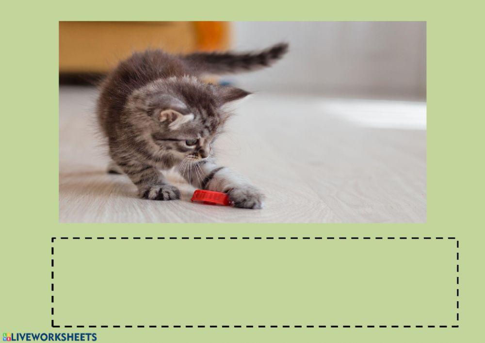 Vocabulario animales