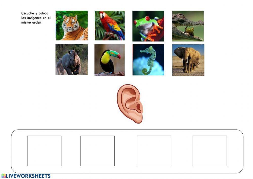 memoria secuencial auditiva