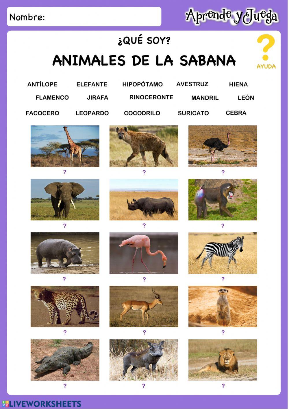 Nombra animales sabana