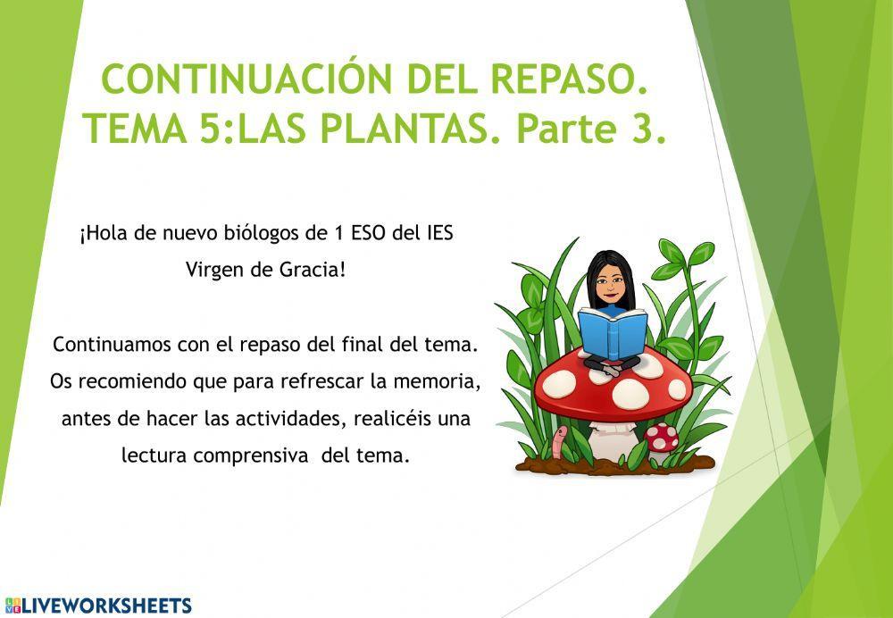 Las plantas. Parte 3
