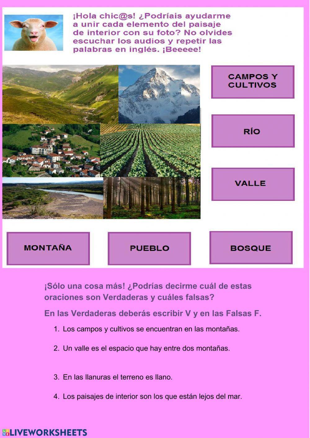 Elementos del paisaje de interior