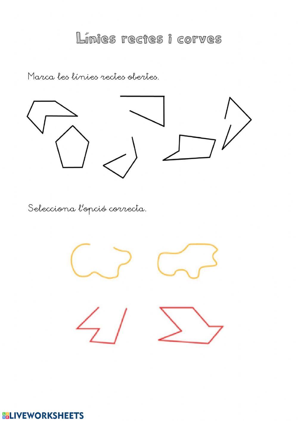 Línies rectes i corves