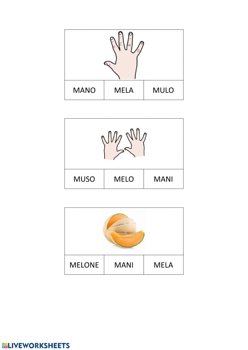 Associazione parola-immagine