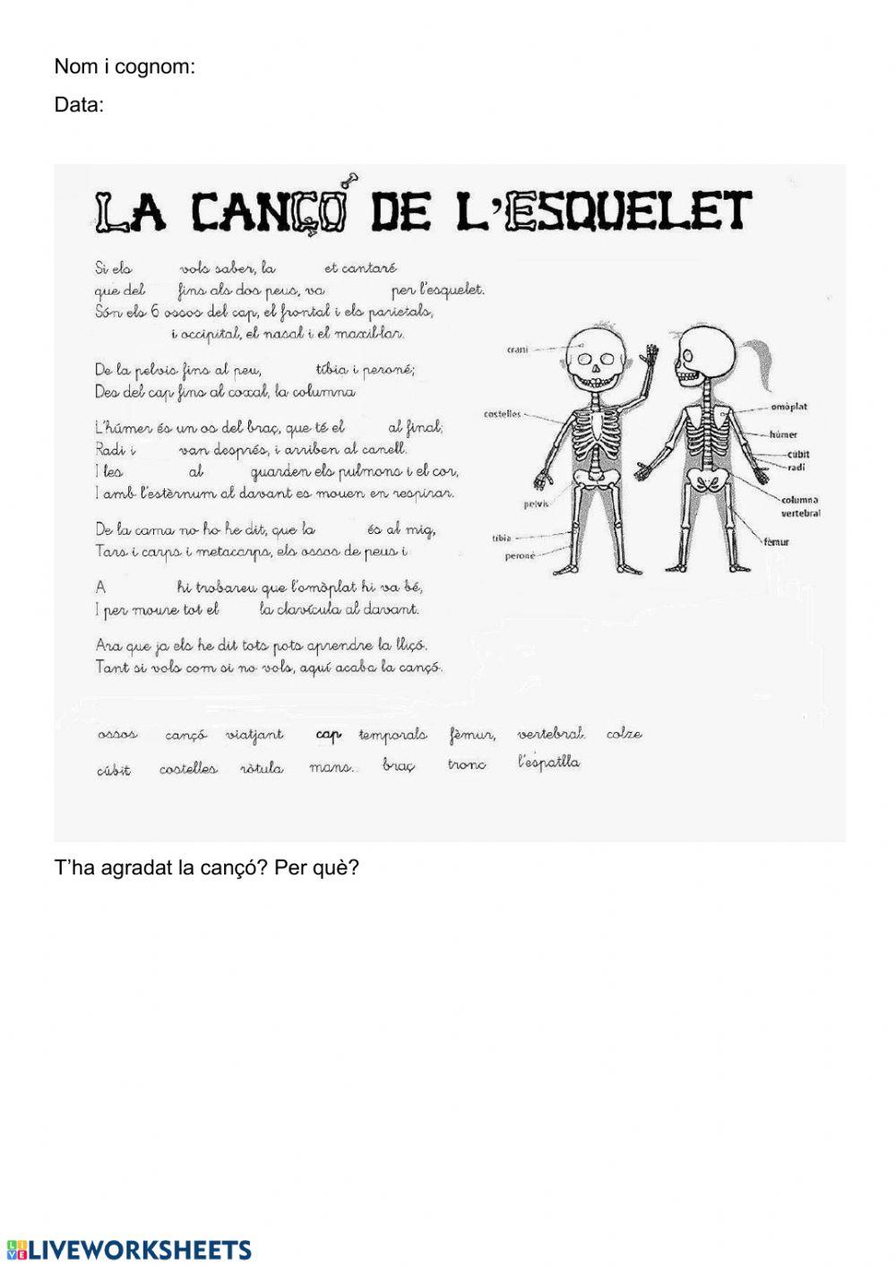 Els ossos del cos - cançó