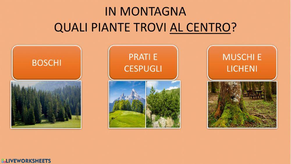 Quiz Montagna