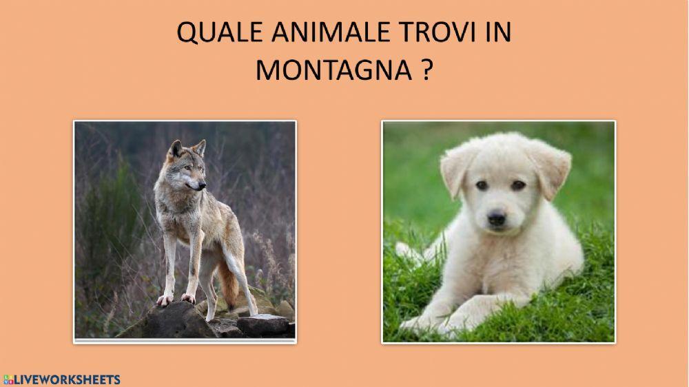 Quiz Montagna