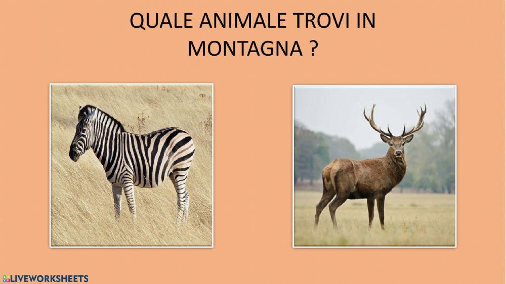 Quiz Montagna