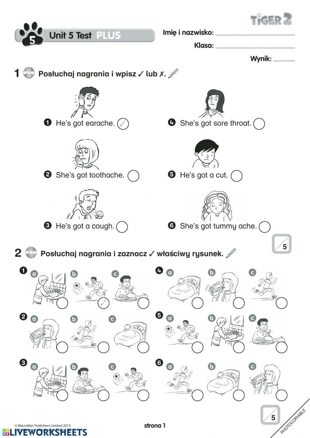 Tiger 2 unit 5 test +