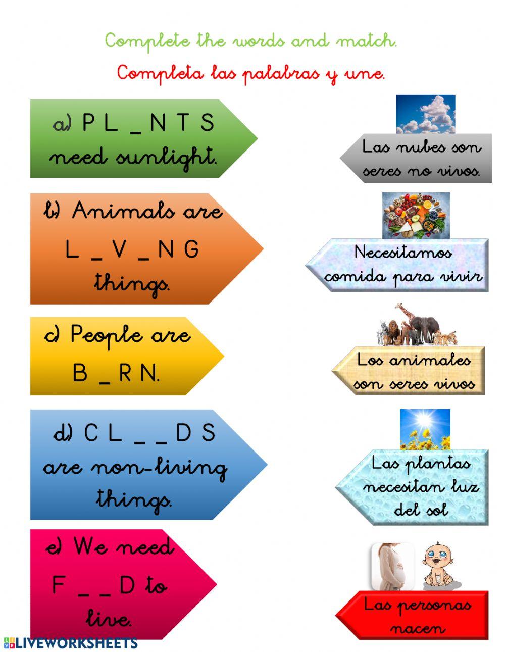 Vocabulary revision - unit 5: Life