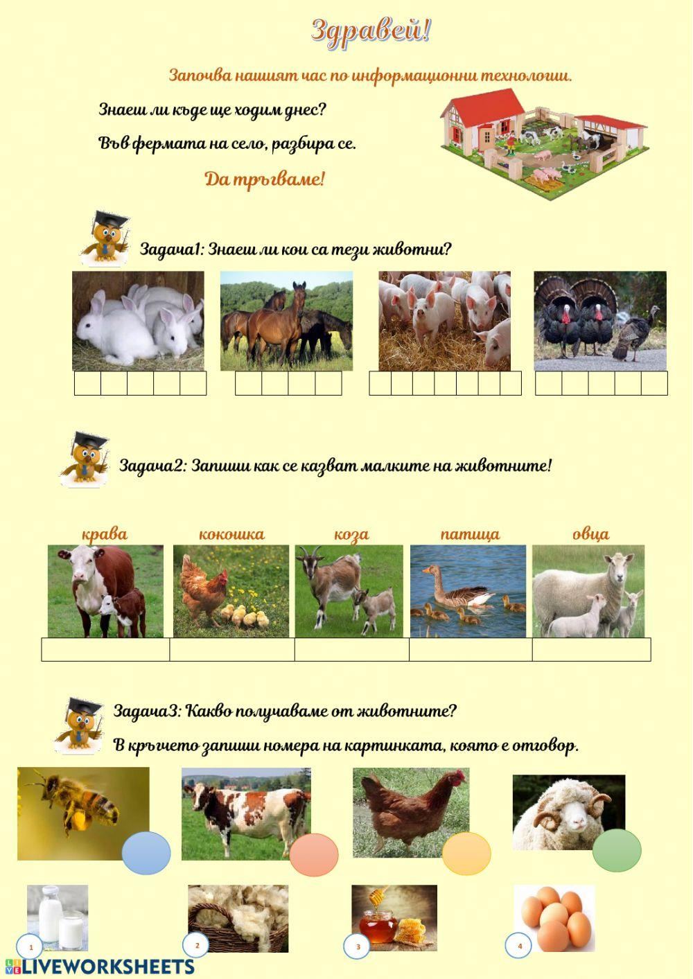 1 клас ИТ - Въвеждане на букви и думи